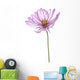 Cosmos Wall Decal
