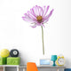Cosmos Wall Decal