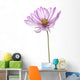 Cosmos Wall Decal