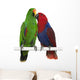Two Eclectus Parrots Wall Decal
