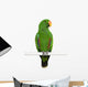 Male Eclectus Parrot Eclectus Wall Decal