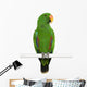 Male Eclectus Parrot Eclectus Wall Decal