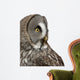 Up Great Grey Owl Wall Decal