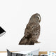 Great Grey Owl (Back Side) Wall Decal