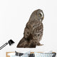 Great Grey Owl (Back Side) Wall Decal