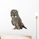Portrait Great Grey Owl Wall Decal