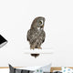 Great Grey Owl Wall Decal