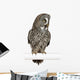 Great Grey Owl Wall Decal