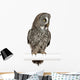 Great Grey Owl Wall Decal
