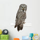 Portrait Great Grey Owl Looking Back Wall Decal