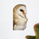 Up Barn Owl Tyto Wall Decal