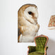 Up Barn Owl Tyto Wall Decal