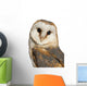 Portrait Barn Owl Wall Decal