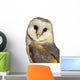 Portrait Barn Owl Wall Decal