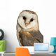 Portrait Barn Owl Wall Decal