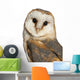Portrait Barn Owl Wall Decal