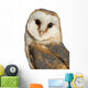 Portrait Barn Owl Wall Decal