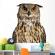 Eurasian Eagle-owl Face with Wide Eyes Wall Decal