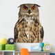 Portrait Eurasian Eagle-owl Close-up Wall Decal