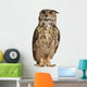 Portrait Eurasian Eagle-owl Wall Decal