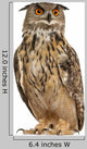 Eurasian Eagle-owl Looking Left Wall Decal