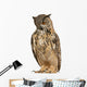 Eurasian Eagle-owl Standing Straight Wall Decal