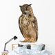 Eurasian Eagle-owl Standing Straight Wall Decal