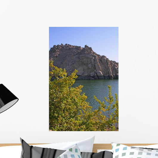 Nature's Elements Wall Decal