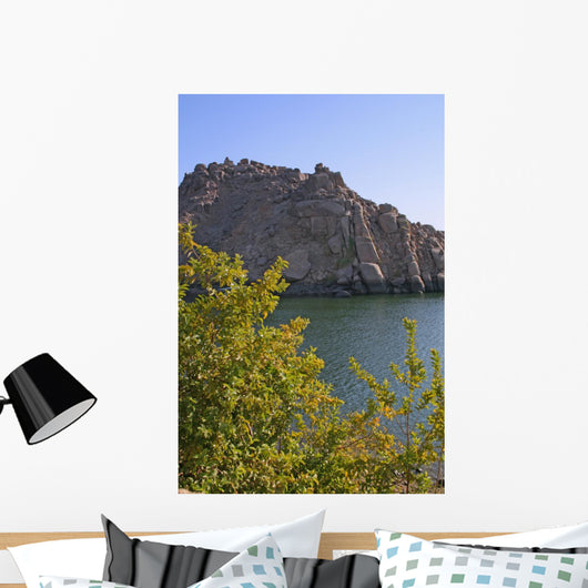 Nature's Elements Wall Decal