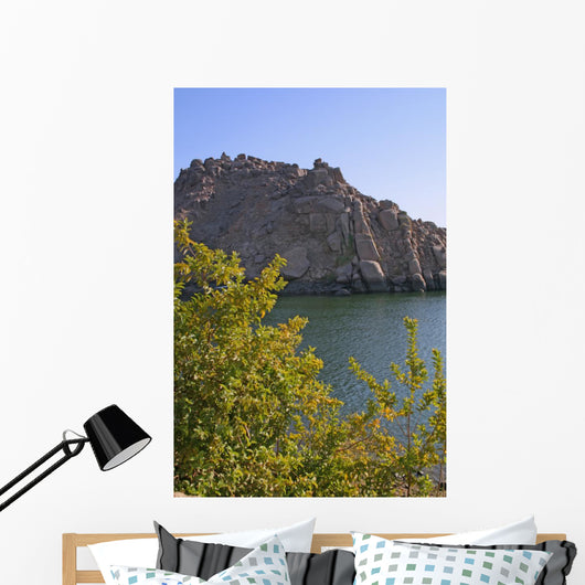 Nature's Elements Wall Decal
