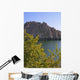 Nature's Elements Wall Decal