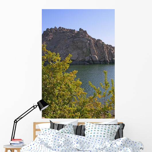 Nature's Elements Wall Decal