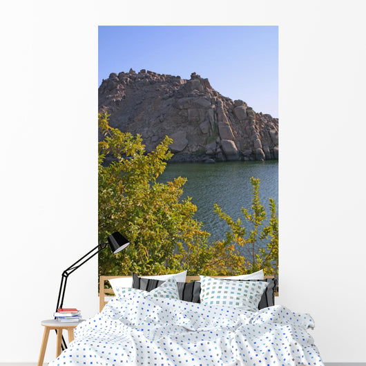 Nature's Elements Wall Decal
