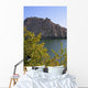 Nature's Elements Wall Decal