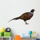 Male European Common Pheasant (Right) Wall Decal