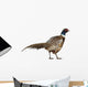 Male American Common Pheasant (Right) Wall Decal