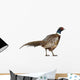 Male American Common Pheasant (Right) Wall Decal