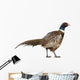 Male American Common Pheasant (Right) Wall Decal
