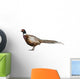 Male American Common Pheasant (Left) Wall Decal