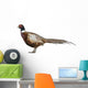 Male American Common Pheasant (Left) Wall Decal