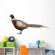 Male American Common Pheasant (Left) Wall Decal