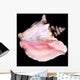Conch Shell Wall Decal