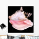 Conch Shell Wall Decal