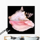 Conch Shell Wall Decal