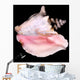 Conch Shell Wall Decal