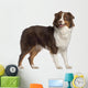 Portrait Australian Shepherd 1 Wall Decal