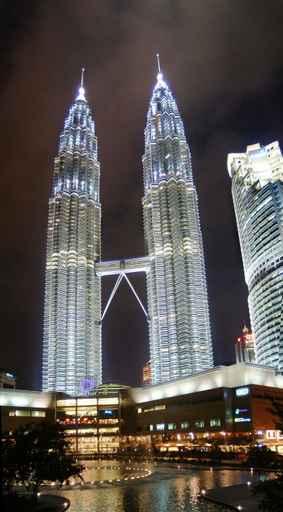 Petronas Towers Wall Decal