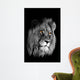 African Lion Panthera Leo Wall Decal