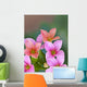 Tiny Coral-pink and Orange Wall Decal
