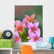 Tiny Coral-pink and Orange Wall Decal